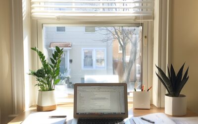 Carte grise : Comment simplifier vos démarches pour l’obtention rapide