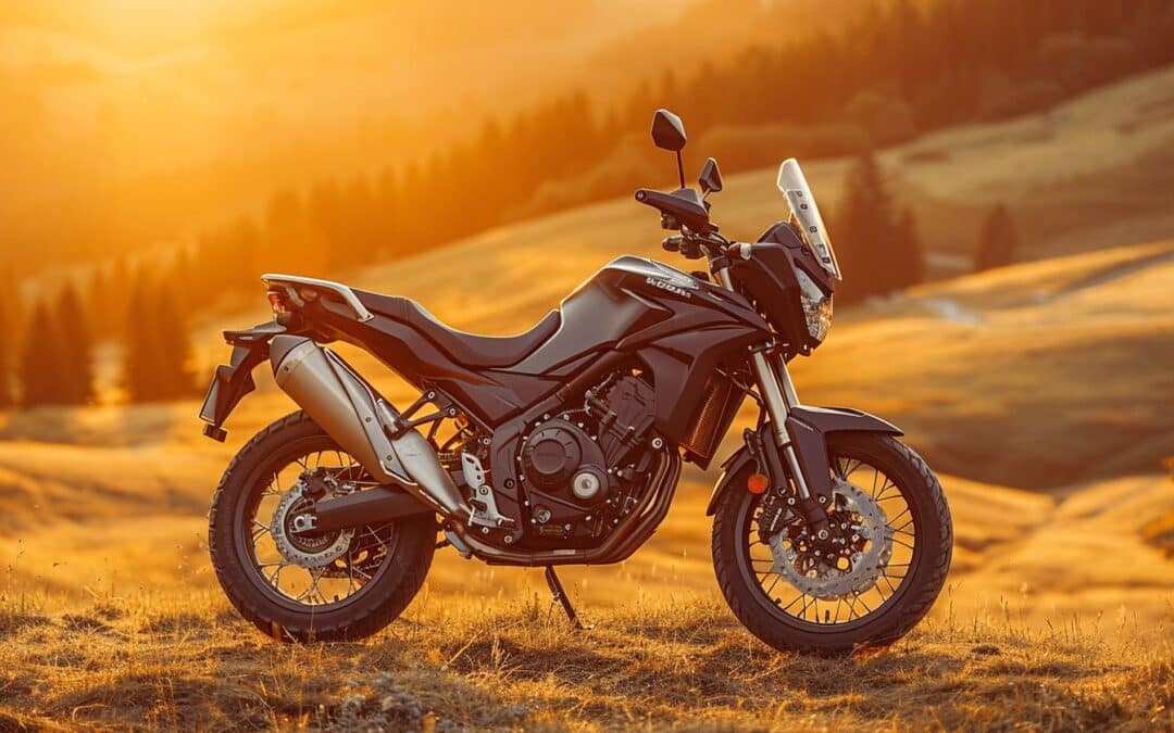 Honda Dominator 650 NX : Une légende du trail toujours d’actualité